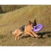 PULLER - dla psa - dog training device MAXI